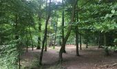 Randonnée Marche Ville de Bruxelles - Bois Cambré et Forest Soignes - Photo 6