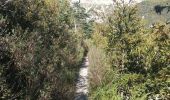 Excursión Senderismo Laval-d'Aix - Promenade du Glandasse depuis le gîte Reychasset - Photo 3