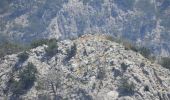 Tocht Te voet Unknown - Western forts of Agia Roumeli - Photo 2