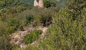 Percorso Marcia Duilhac-sous-Peyrepertuse - 7eme étape sentier cathare  - Photo 16