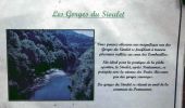 Trail Walking Miremont - Miremont_Gorges_Sioulet - Photo 1