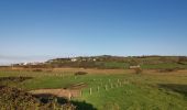 Excursión Senderismo Hautot-sur-Mer - hautot sur mer pourville - Photo 6