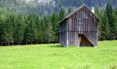 Trail On foot Altaussee - Sandling 241 - Photo 8