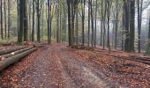 Trail Walking Marche-en-Famenne - Griembiemont  - Photo 3