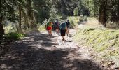 Trail Walking Peyre en Aubrac - BOUCLE AU DEPART DE FAU DE PEYRE - Photo 2