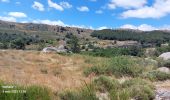 Tocht Stappen Mont Lozère et Goulet - Etape 6 le Bleymard  / Pont Montvert - Photo 5