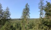 Tour Wandern Amel - Herresbach Emile - Photo 5