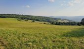 Tocht Stappen Bouxières-sous-Froidmont - Arry - Photo 2