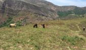 Randonnée Marche Bidarray - Iparaguirre - Photo 5
