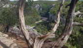 Tocht Stappen Berrias-et-Casteljau - bois de Paîolive - Photo 3