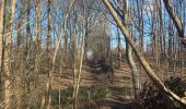 Trail Walking Leuven - Autour de Korbeek-Lo - Photo 11