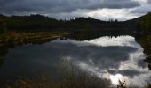 Tour Wandern Fayence - St Paul en Forêt - Lac de Méaulx - Pont de l'Endre - Piste Colle Douce - Photo 4