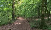Trail Walking Houffalize - Le herou . Le chesle - Photo 19