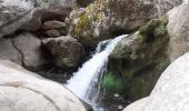 Trail Walking Mazaugues - Saut du Cabri gorges du Carami - Photo 5