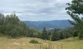 Trail Walking Kirchberg - Lochberg ferme auberge - Photo 5