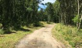 Randonnée Marche Mées - Circuit des Barthes Neuves Mées le 8juin 2019 - Photo 5