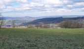 Tour Wandern Dreibrücken - Logbierme 280223 - Photo 9