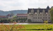 Tocht Te voet Aerzen - AE8 Rundwanderung auf dem nördlichen Lüninbergsberg oberhalb Schloss Schwöbber - Photo 2