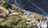 Tocht Stappen Gresse-en-Vercors - Le Grand Veymont en circuit partiel - Photo 6