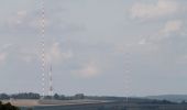 Tocht Te voet Vaihingen an der Enz - Riedberg Rundweg - Photo 3