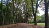 Randonnée Marche Clamart - Tour des etangs - Bois de Clamart et de Meudon - Photo 2