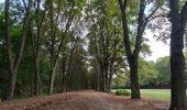 Tour Wandern Clamart - Tour des etangs - Bois de Clamart et de Meudon - Photo 2