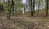 Tocht Stappen Corcy - en forêt de Retz_91_04_2022_la Laie de la Belle Epine - Photo 15