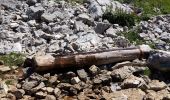 Randonnée Marche Saint-Agnan-en-Vercors - pas de pousterle pas de berrieves depuis pré rateau - Photo 1