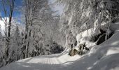 Randonnée Raquettes à neige Ventron - 20210124 - Col-Oderen - Chalet Forgoutte - Photo 4