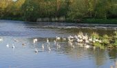 Tocht Stappen Nancy - Nancy - Le grand couronné - Dommartemont - Le moulin noir - Nancy - Photo 12