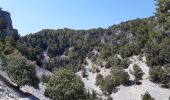 Excursión Senderismo Beaumont-du-Ventoux - Mont Serein Col du Comte - Photo 4