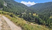 Trail Mountain bike Vars - lac de peyrol ,col de vars,crête de la maït,retour ST marcellin - Photo 7