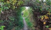 Tocht Stappen Giffaumont-Champaubert - Étang d'Outines - Photo 4