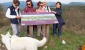 Trail Walking Valréas - borne papale  - Photo 8