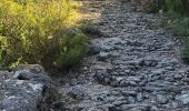 Excursión Senderismo Saint-Guilhem-le-Désert - st guilhem - Photo 2