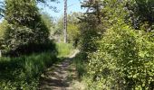 Randonnée Marche Liège - rando la plus bucolique sur les coteaux rive gauche de la meuse - Photo 4