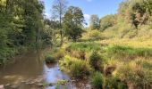 Trail Walking Waimes - Ondenval  - Photo 3