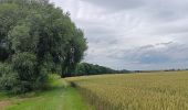 Tour Wandern Burdinne - marche adeps Burdinne  - Photo 4