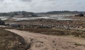 Tour Wandern Penvénan - Port blanc - Pointe du Château  - Photo 2