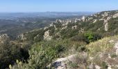 Trail Trail Cheval-Blanc - Font de l’Orme-Croix de Fer-Menerbes-Pic Faiendre(17K 950D+) - Photo 2