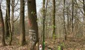 Tocht Stappen 's-Gravenbrakel - Bois de la Houssiere - Photo 5