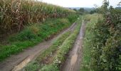 Percorso A piedi Fosses-la-Ville - Mon parcours - Photo 1