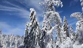 Tocht Sneeuwschoenen La Pesse - L'Embossieux - Crêt de Nerbier  - Photo 6