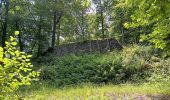 Trail Walking Houffalize - Le herou . Le chesle - Photo 17