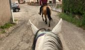 Trail Horseback riding Dabo - Tour de dabo Tivio Joyeux  - Photo 15