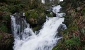 Tour Wandern Neuweiler - Neuviller La Roche Cascade de la Serva - Photo 1