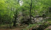 Tour Wandern Waldbillig - Mullerthal randonnée magnifique - Photo 10