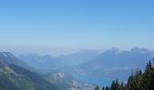 Tour Wandern Bellecombe-en-Bauges - montagne du charbon : montée par la piste Reposoir. col de bornette . refuge de la combe / retour même itinéraire sauf par les champs et bois depuis bornette  - Photo 18