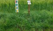 Tour Wandern Anhée - Warnant Adèle et Christophe 05-05-2024 - Photo 17