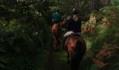 Percorso Equitazione Clohars-Carnoët - doelan 1 - Photo 2